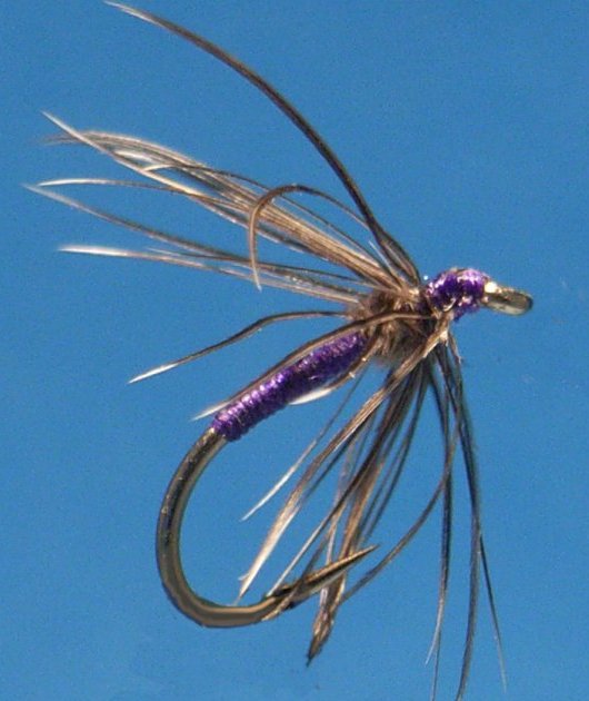 The 'Snipe Purple'